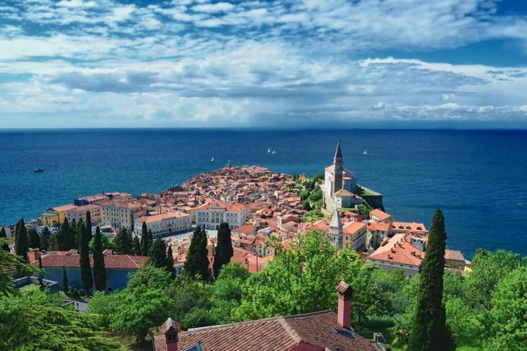 Apartment Unique Spacious With Terrace Piran